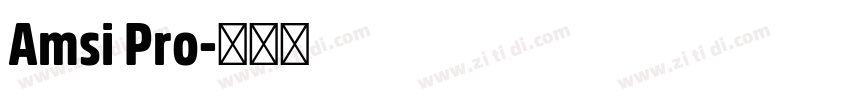 Amsi Pro字体转换